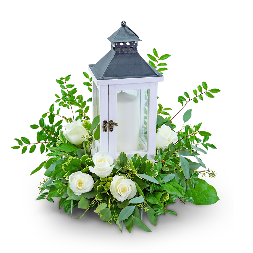 Signature White Rose Lantern