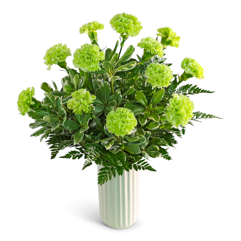 One Dozen Bright Green Carnations