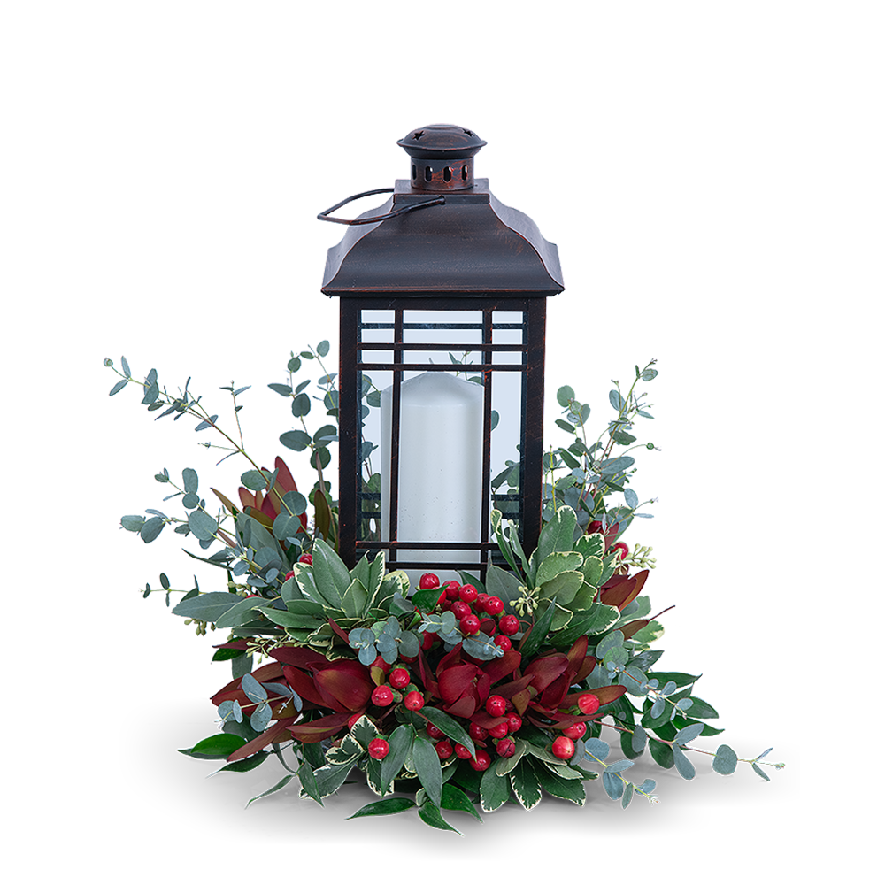 Light Through the Fog