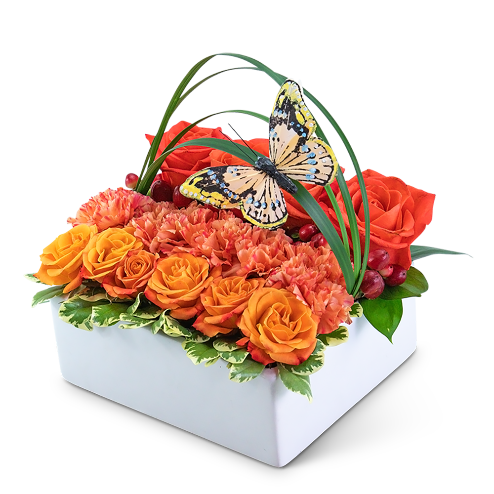 Butterfly Garden Pave