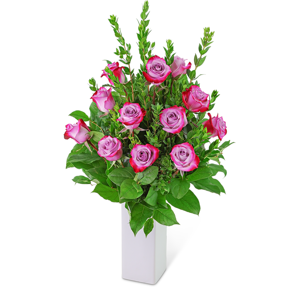 Lovely Lavender Roses (12)