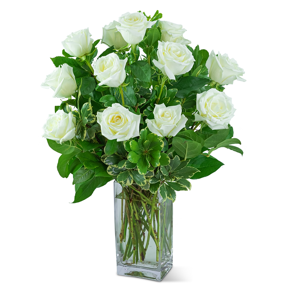White Roses (12)