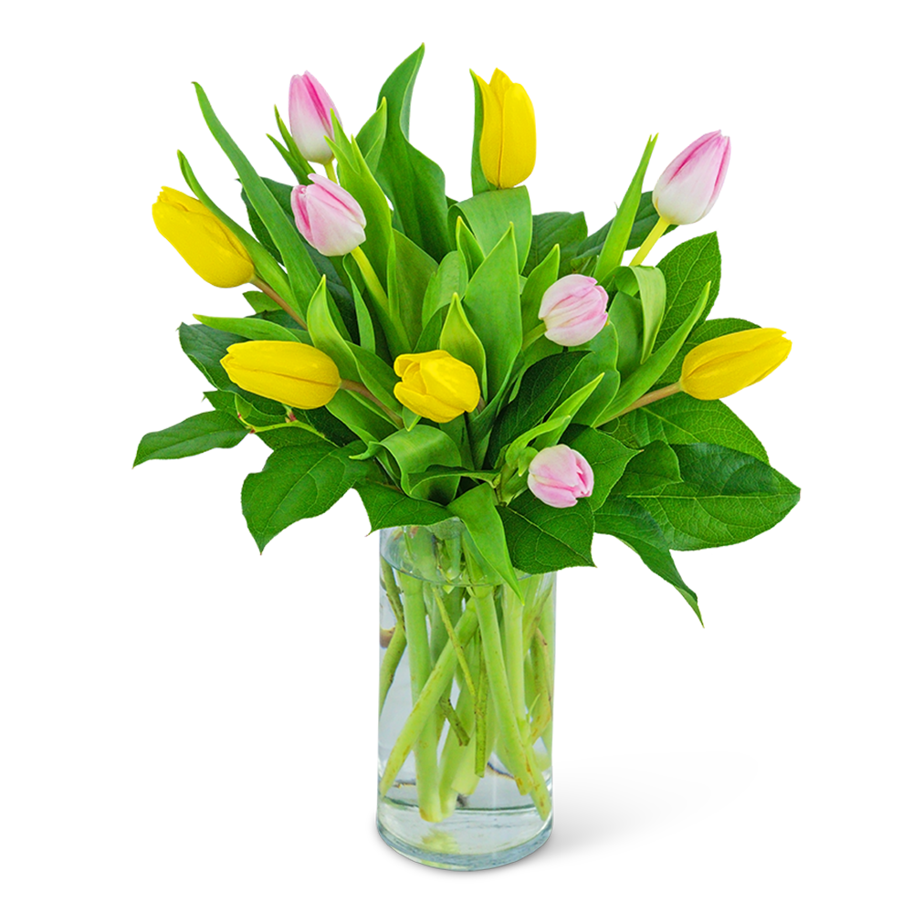 Strawberry Lemonade Tulips