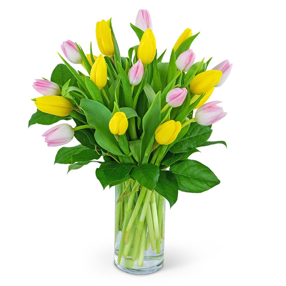 Strawberry Lemonade Deluxe Tulips