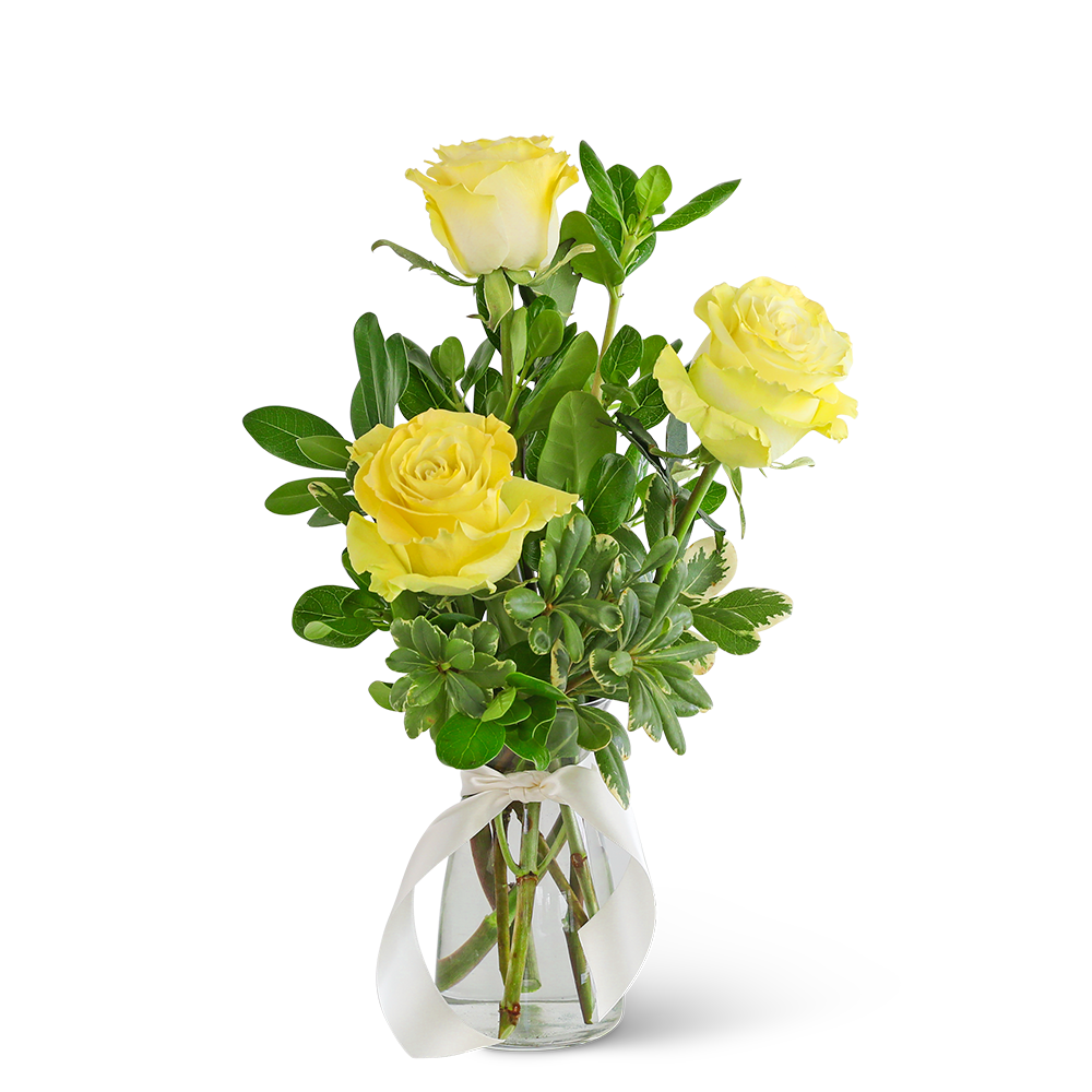 Three Yellow Roses