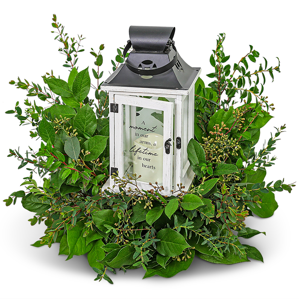 Light in the Shadows Lantern