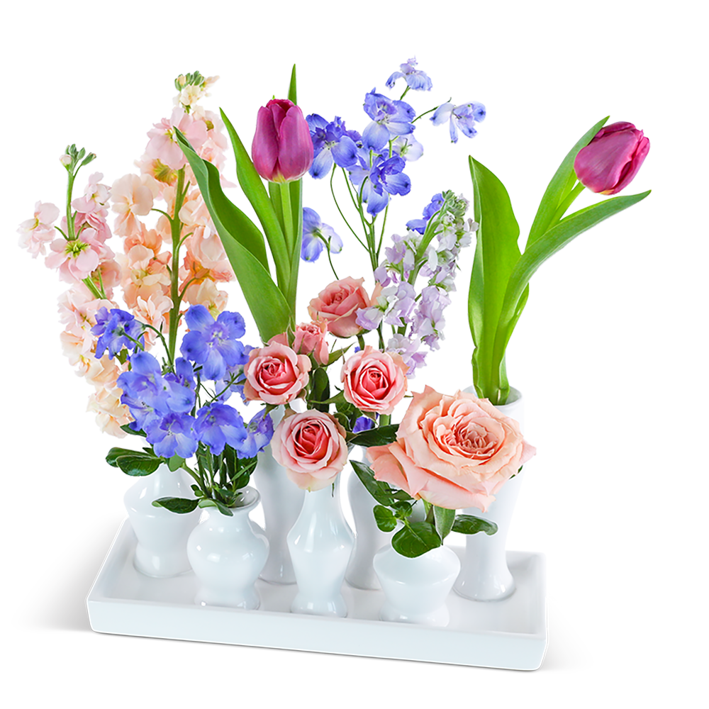 Petal Poetry Bud Vase Blooms