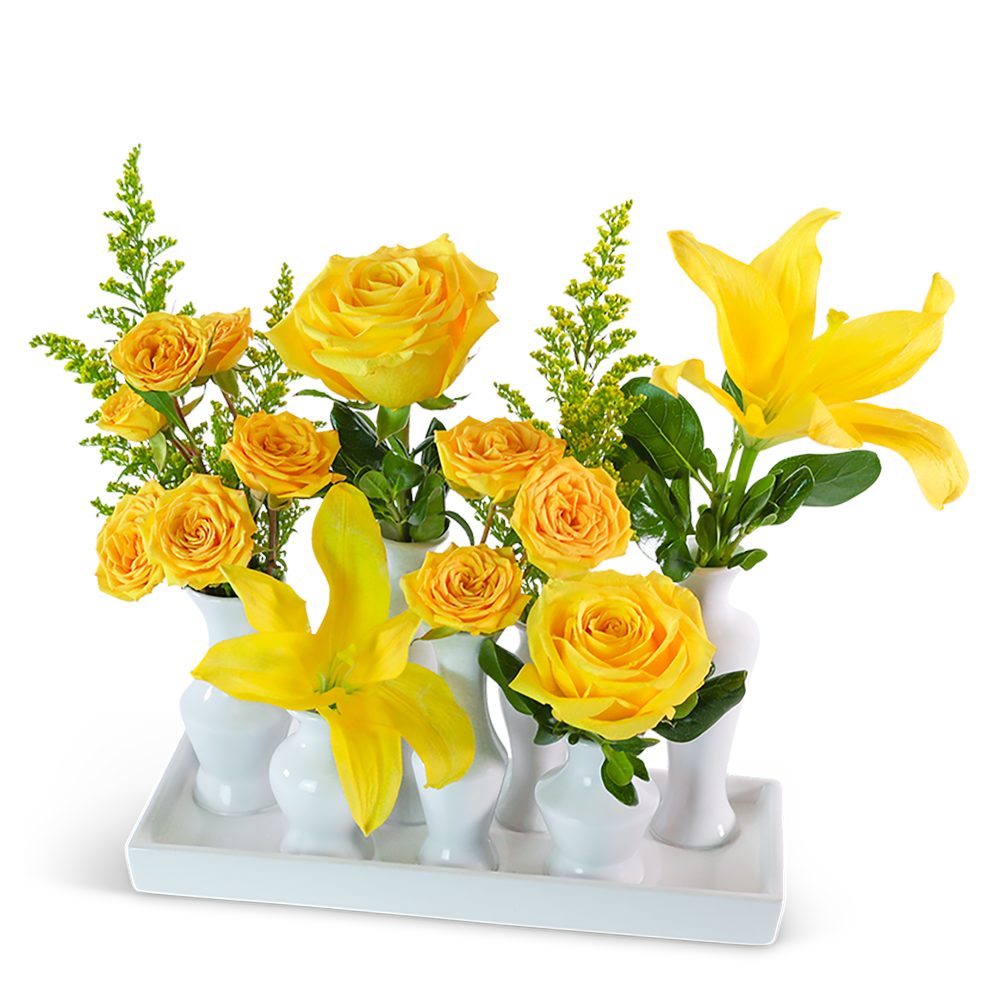 You Are My Sunshine Bud Vase Blooms