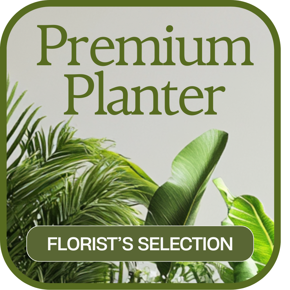 Designer’s Choice Premium Planter