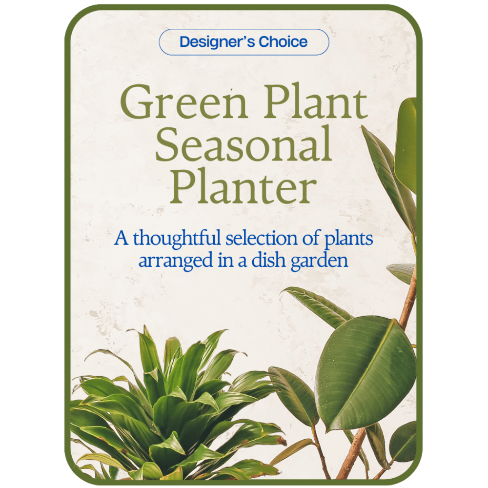 Designer’s Choice – Variety of Green Plants