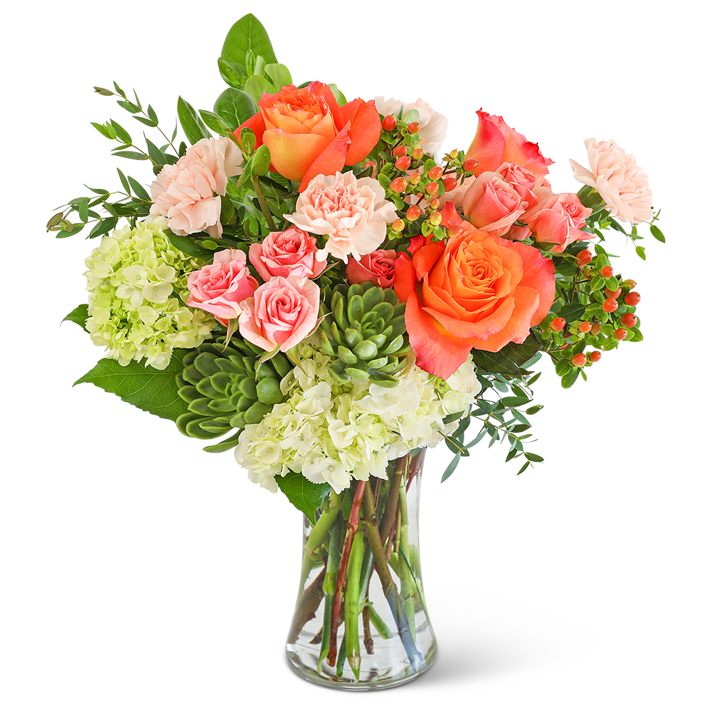 Malibu Sun with Succulents