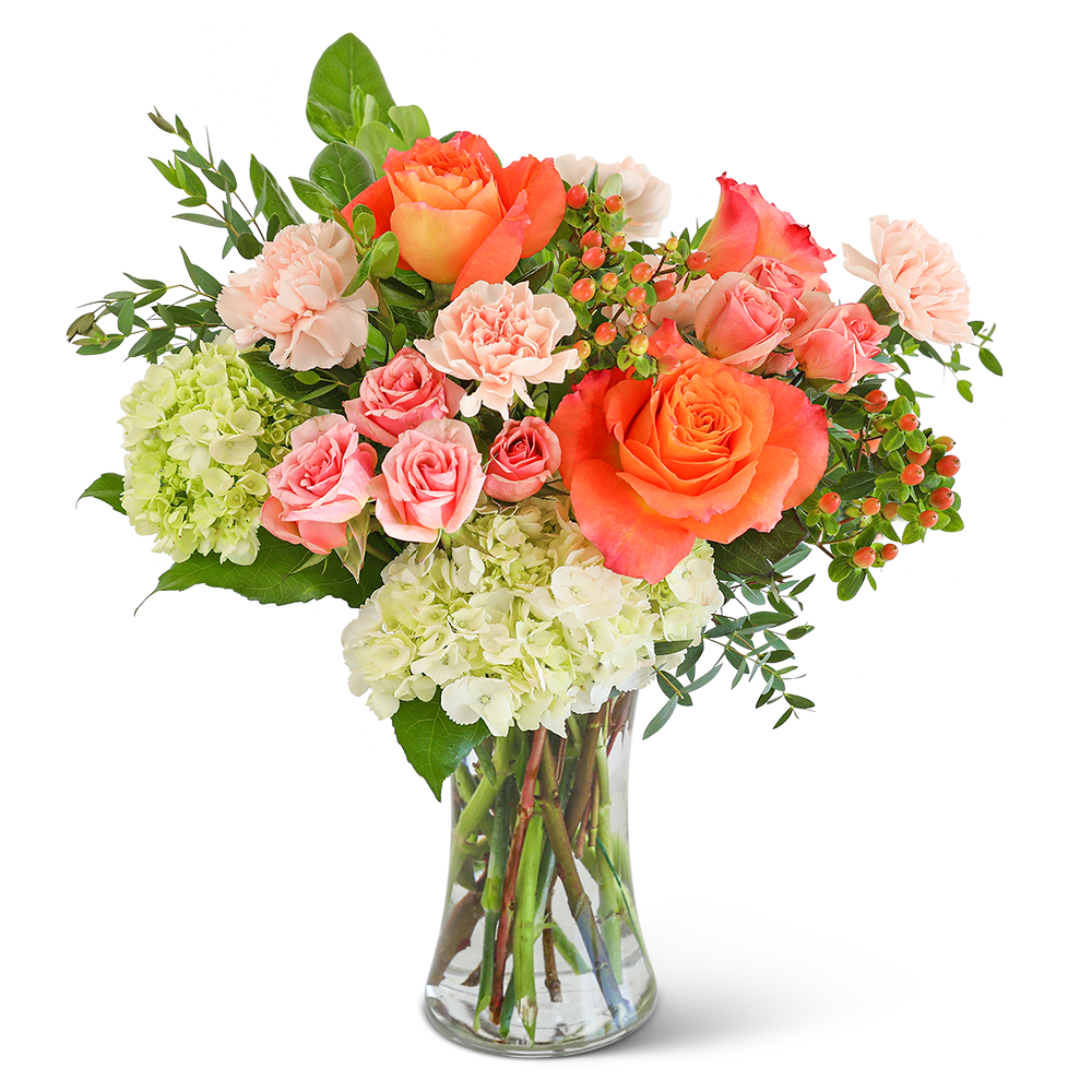 My First Love, My Mom