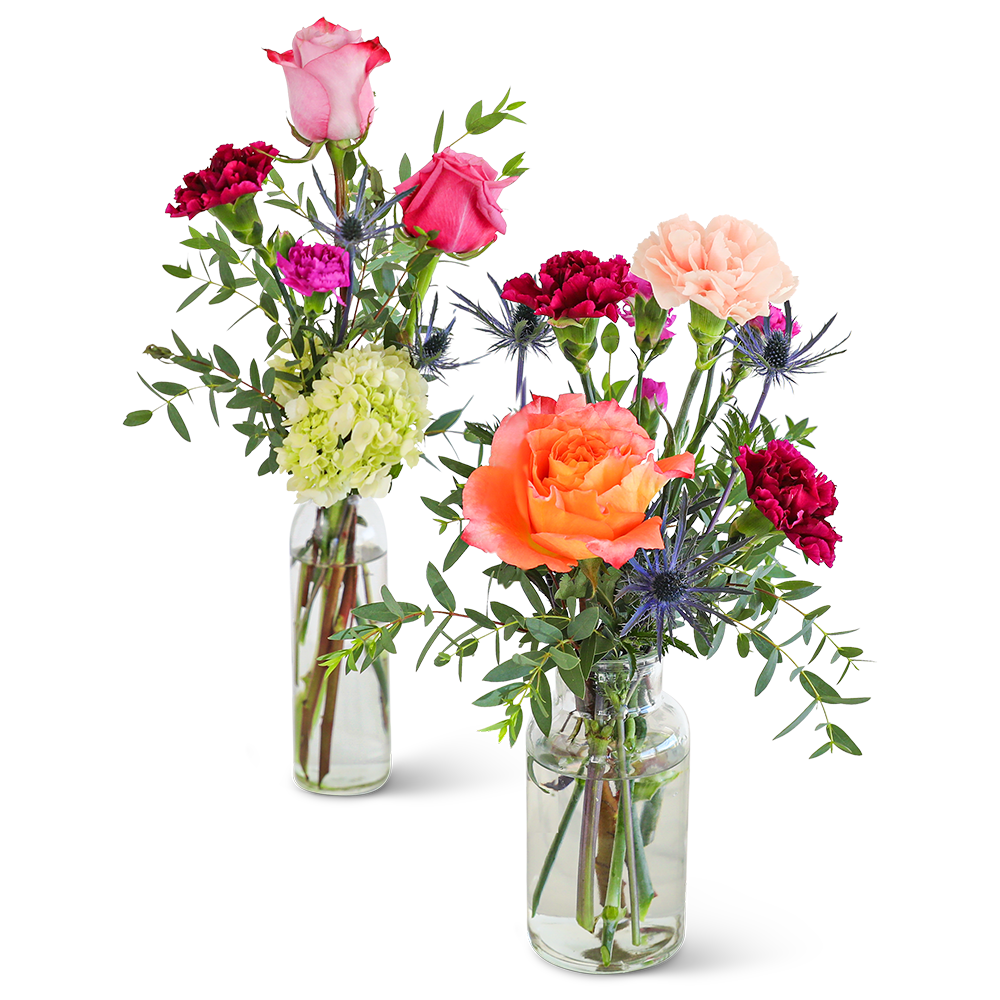 Bottles of Prismatic Buds