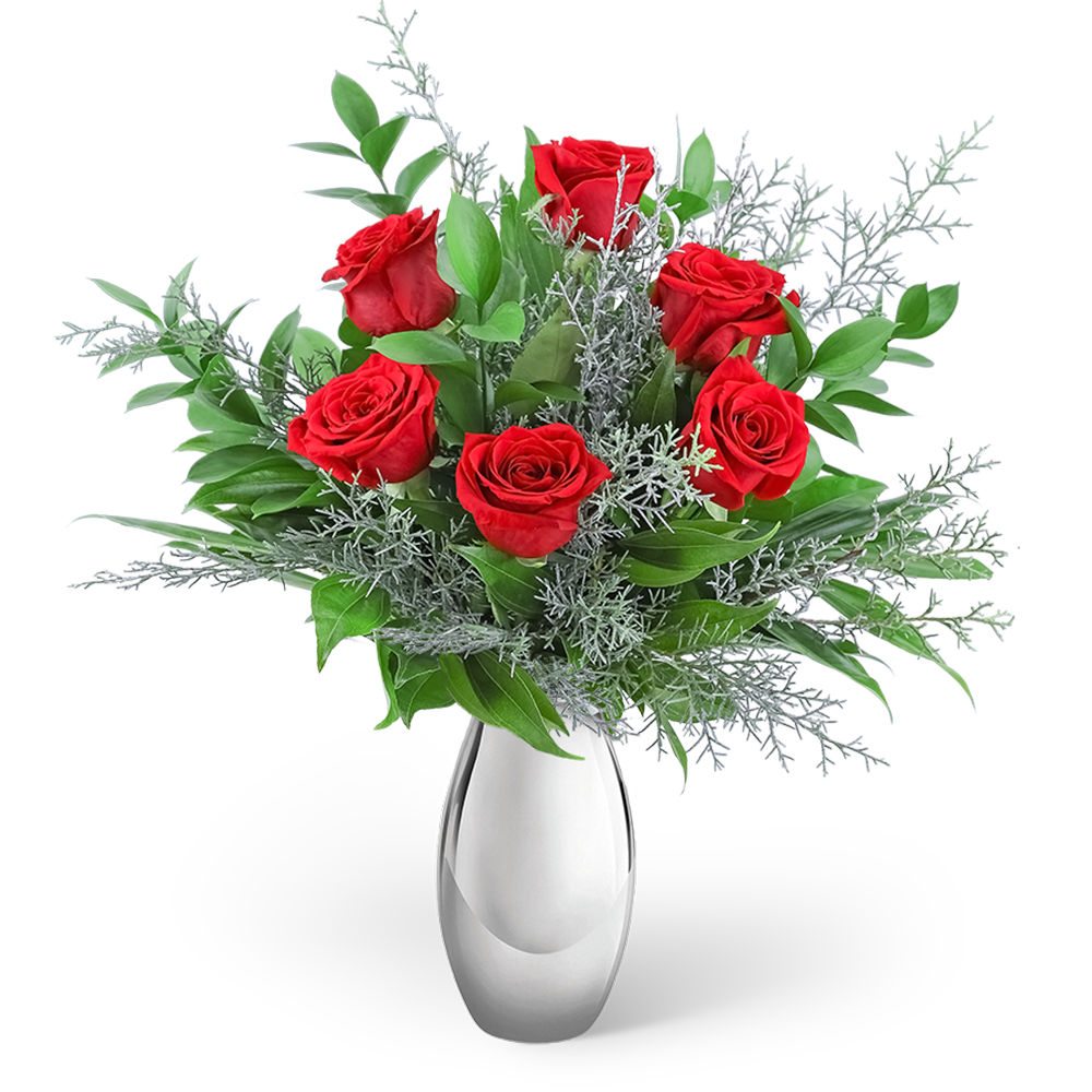 The Holiday Six in Silver