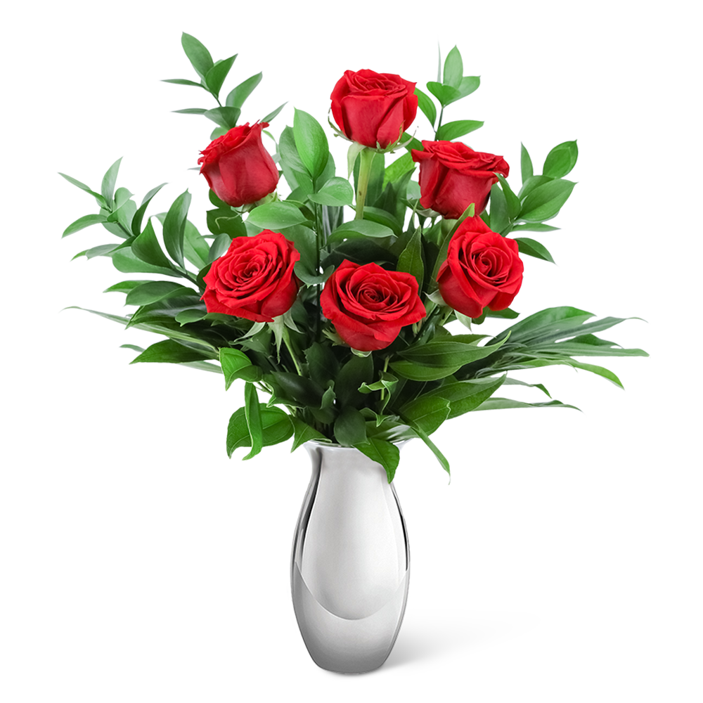 The Classic Six in Silver