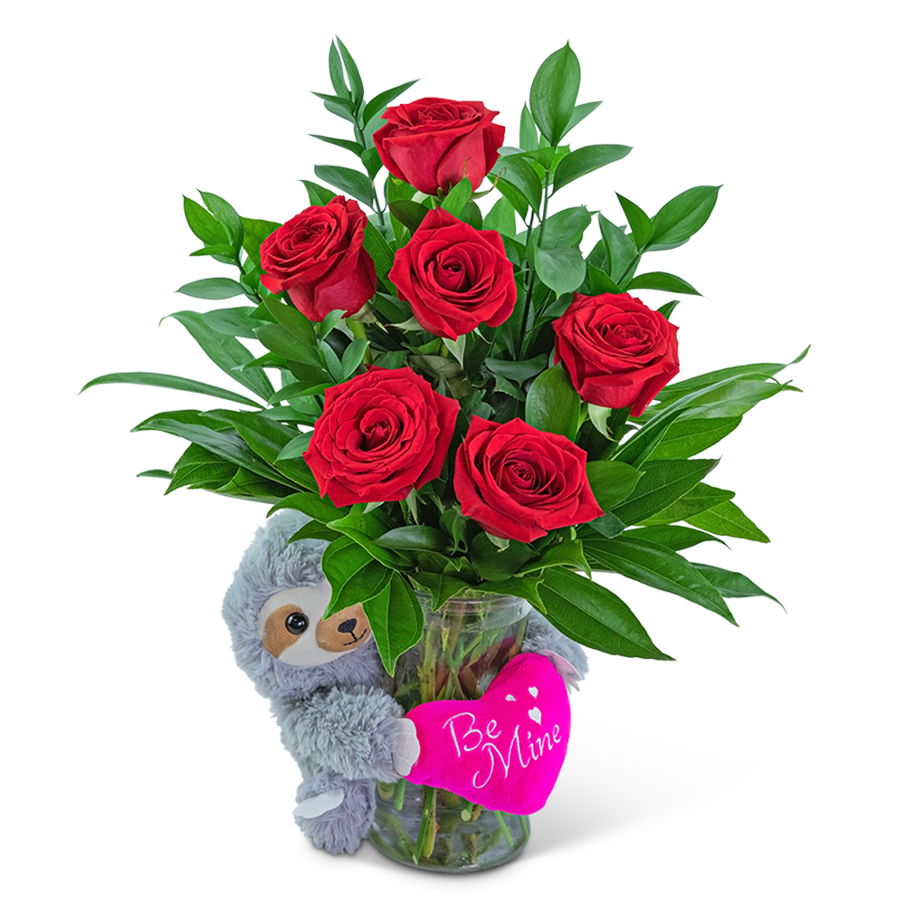 Be Mine Classic Six Red Roses with Sloth