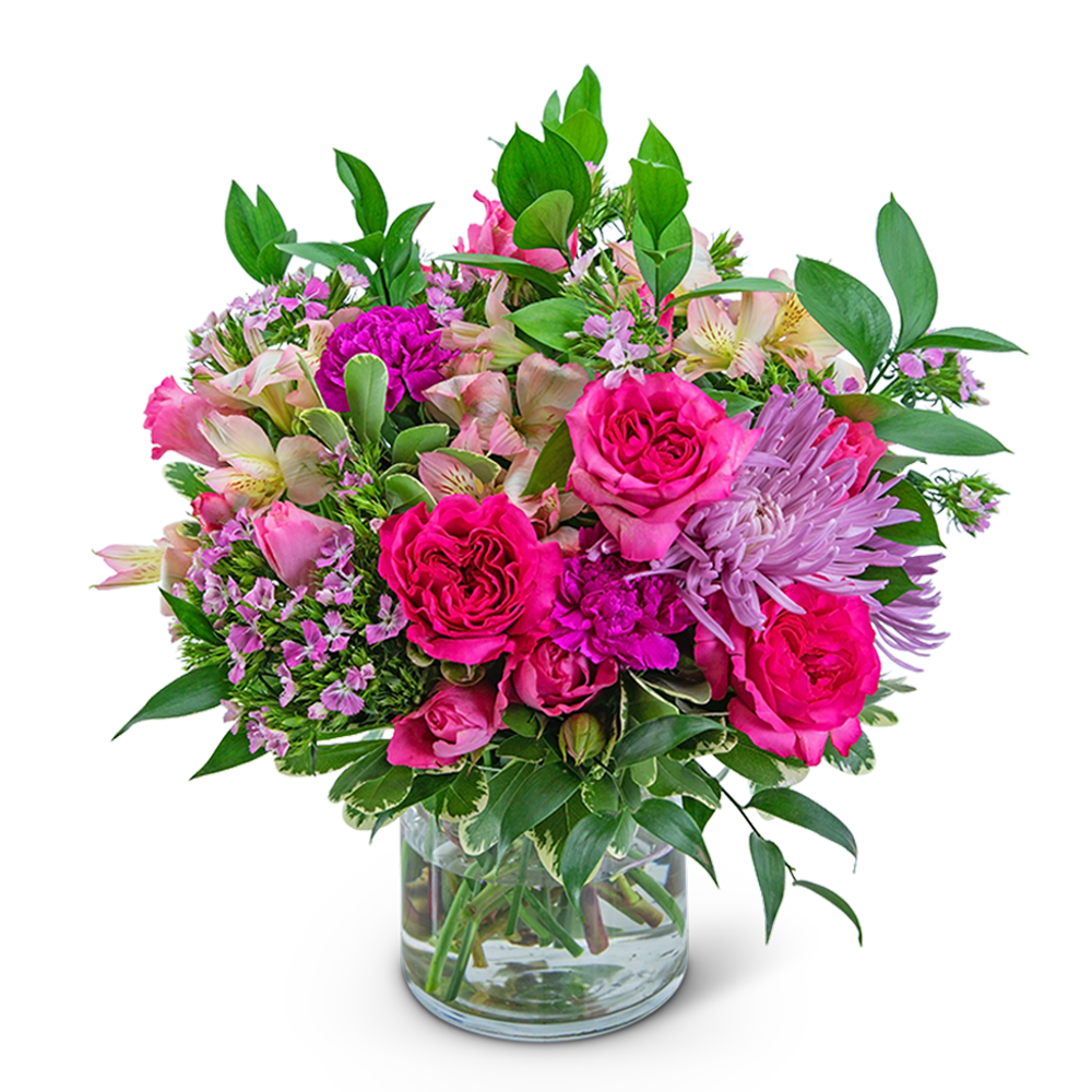 Classic Cosmopolitan