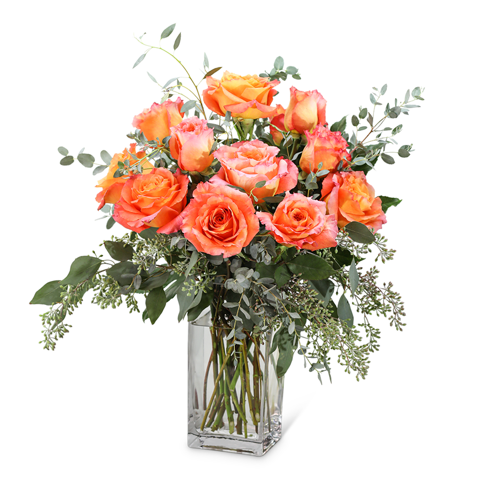 Free Spirit Roses (12)