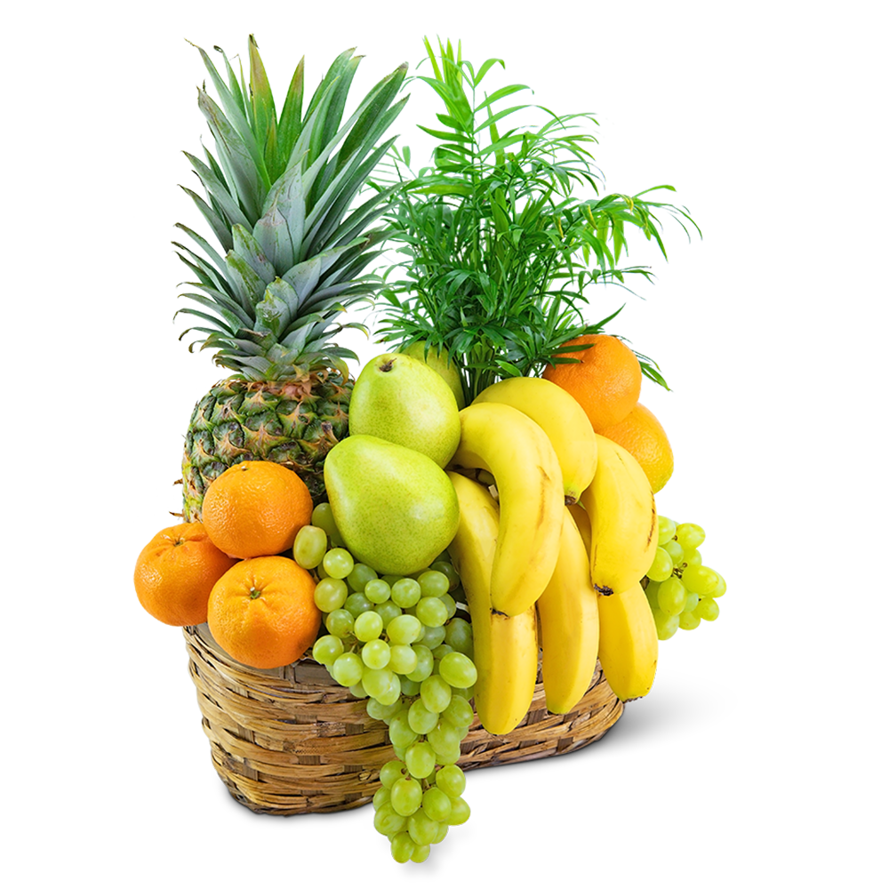 Green Goodness Fruit & Plant Basket