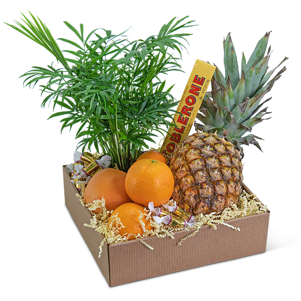 Tropical Oasis Basket