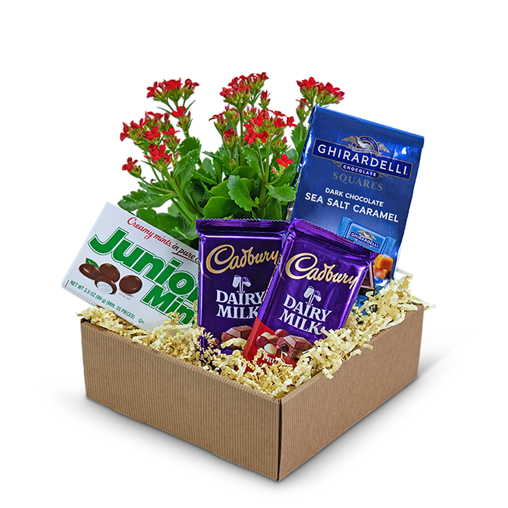 Boy Meets World Basket