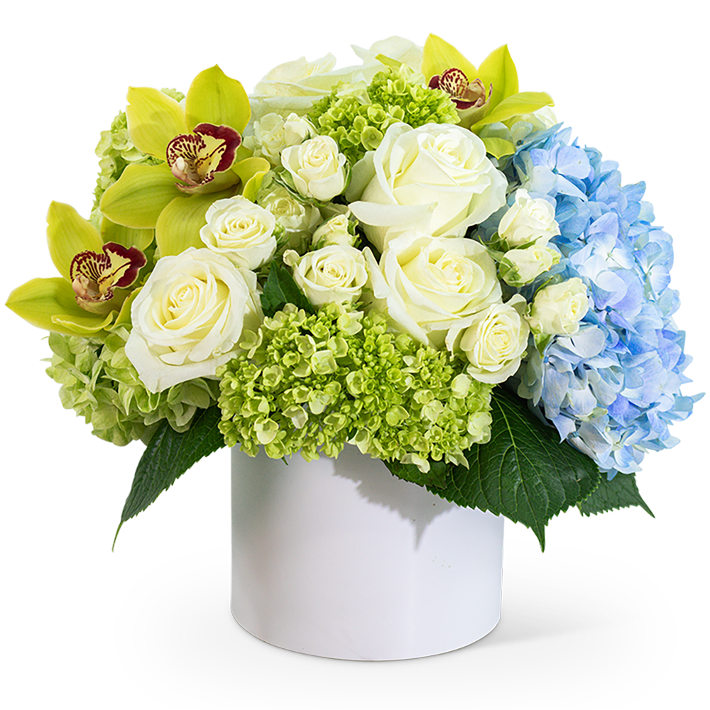 Luxe Home Garden with Orchids