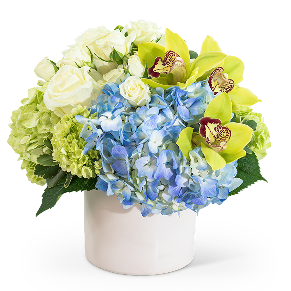 Home Garden with Orchids