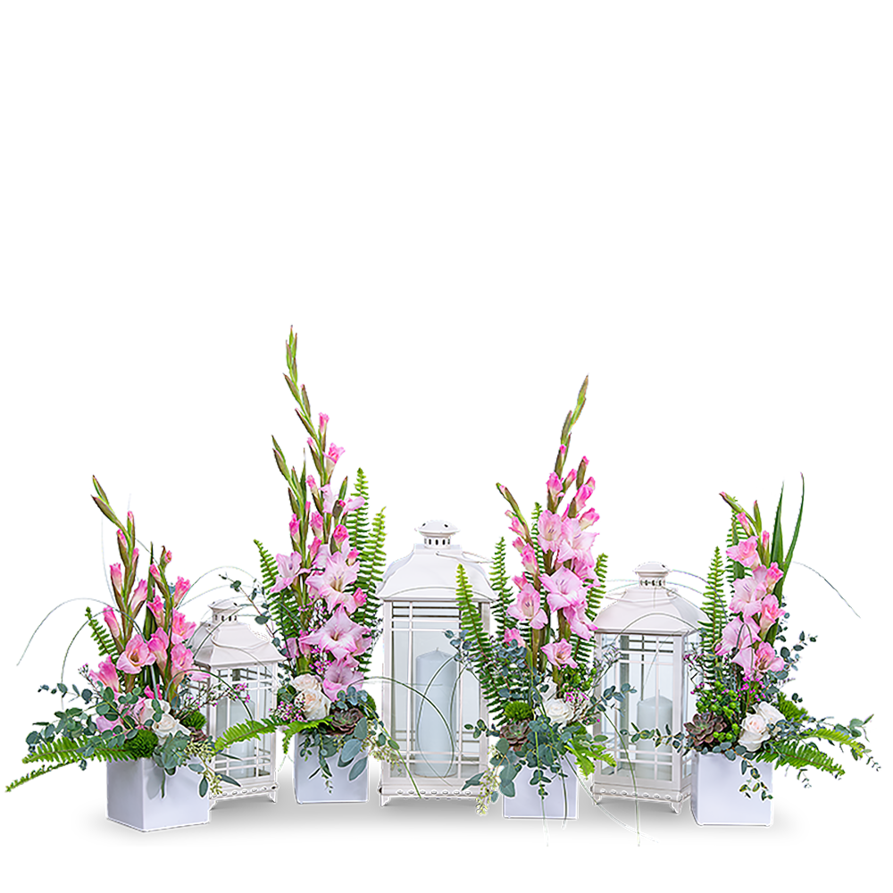 Light in the Darkness