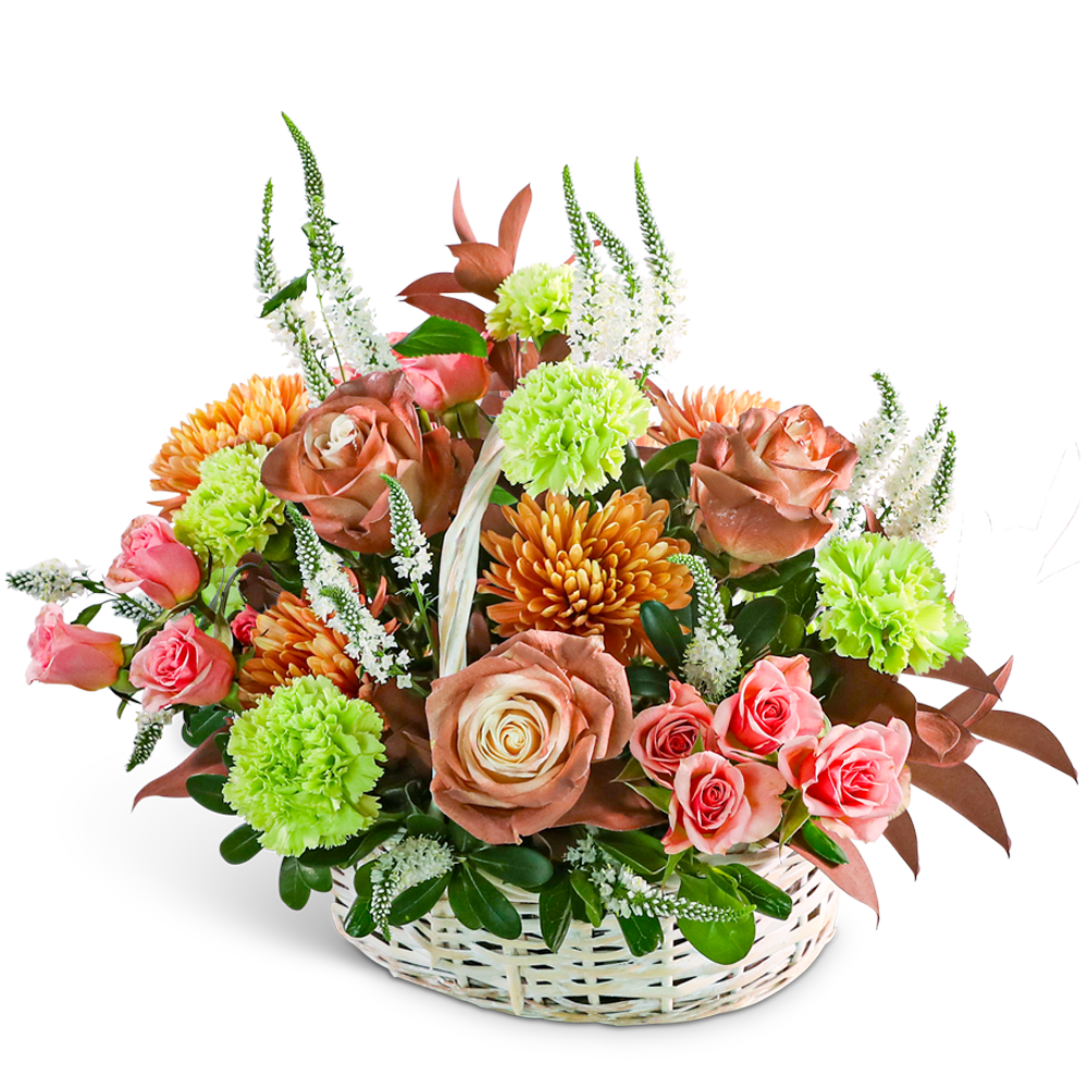 Mocha Morning Basket