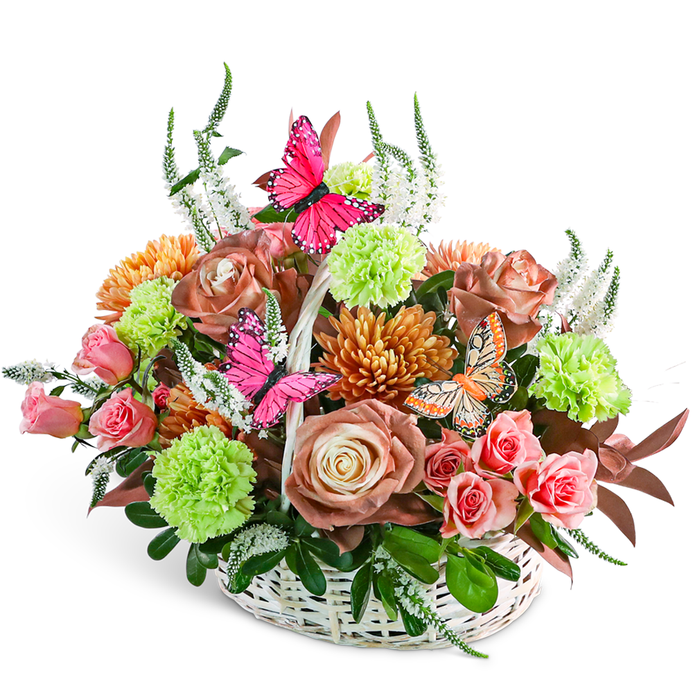 Mocha Morning Basket with Butterflies