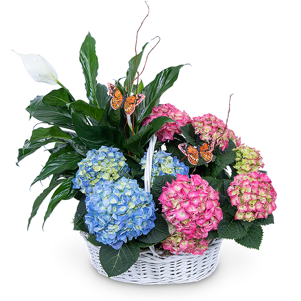 Bountiful Basket with Butterflies