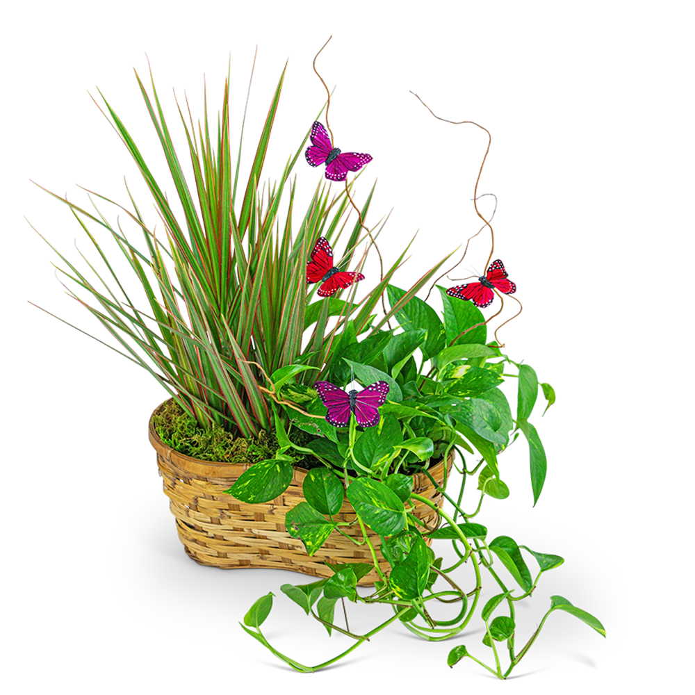 Ethereal Garden Basket