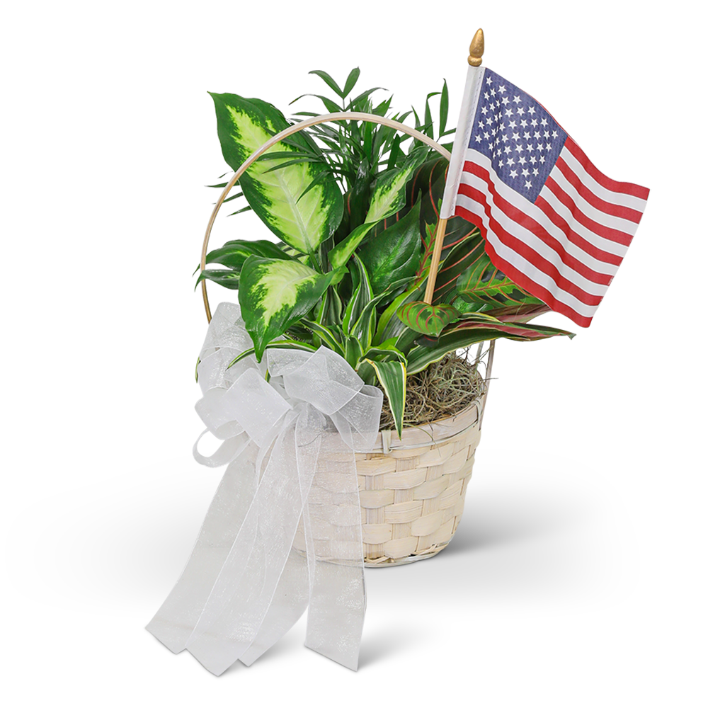 Patriotic Planter
