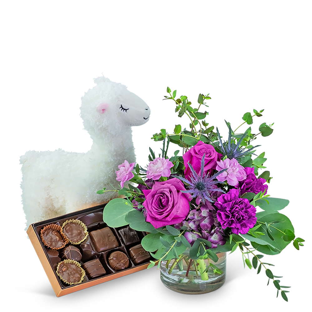 Mod Magenta Gift Ensemble