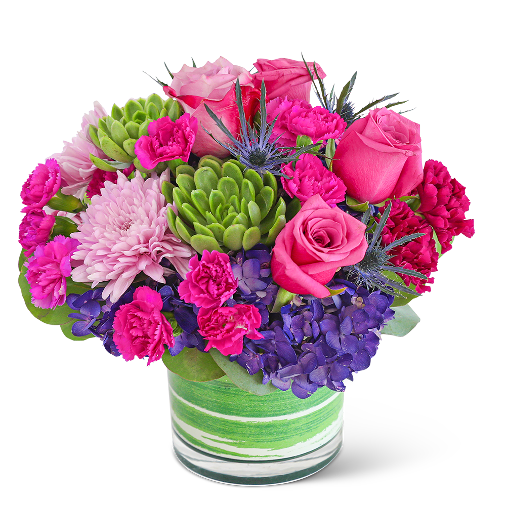 Luminous London with Succulents