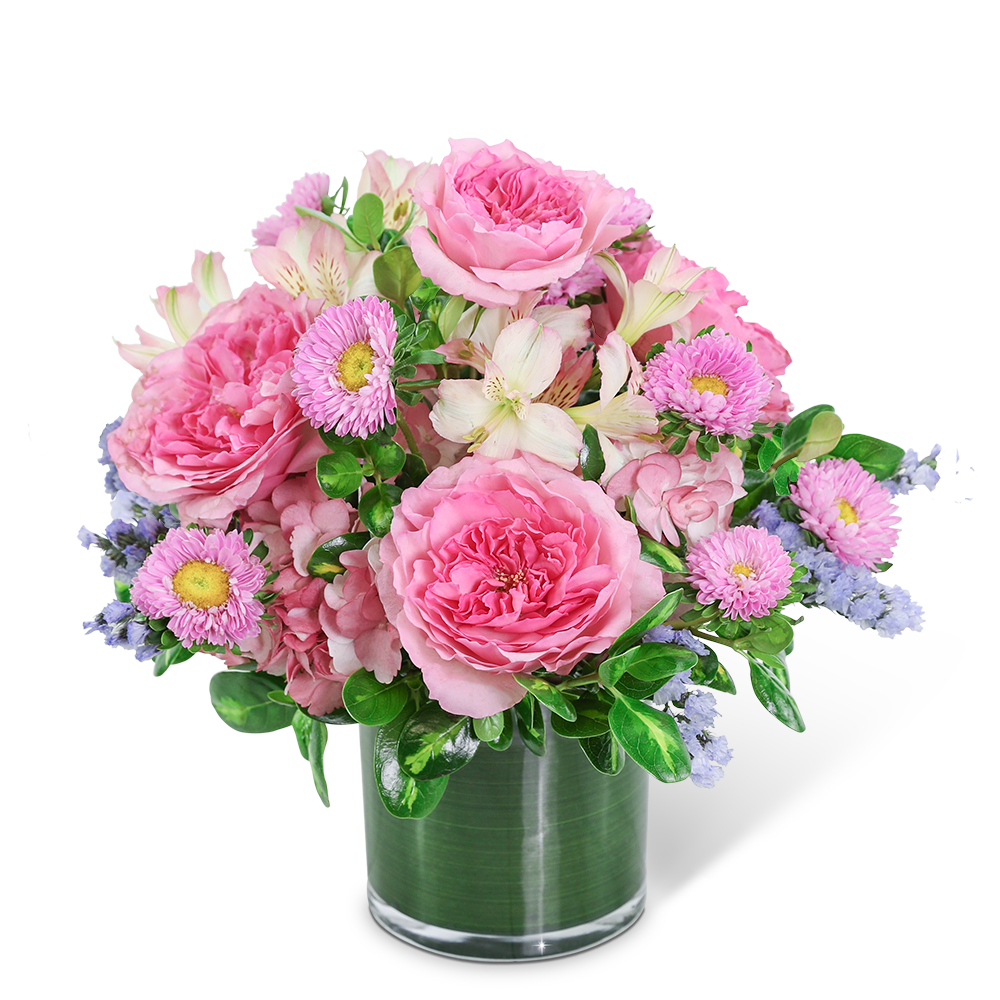 Ethereal Pink Clouds