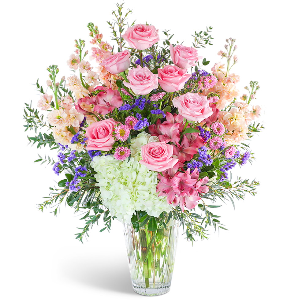 Anniversary & Romance