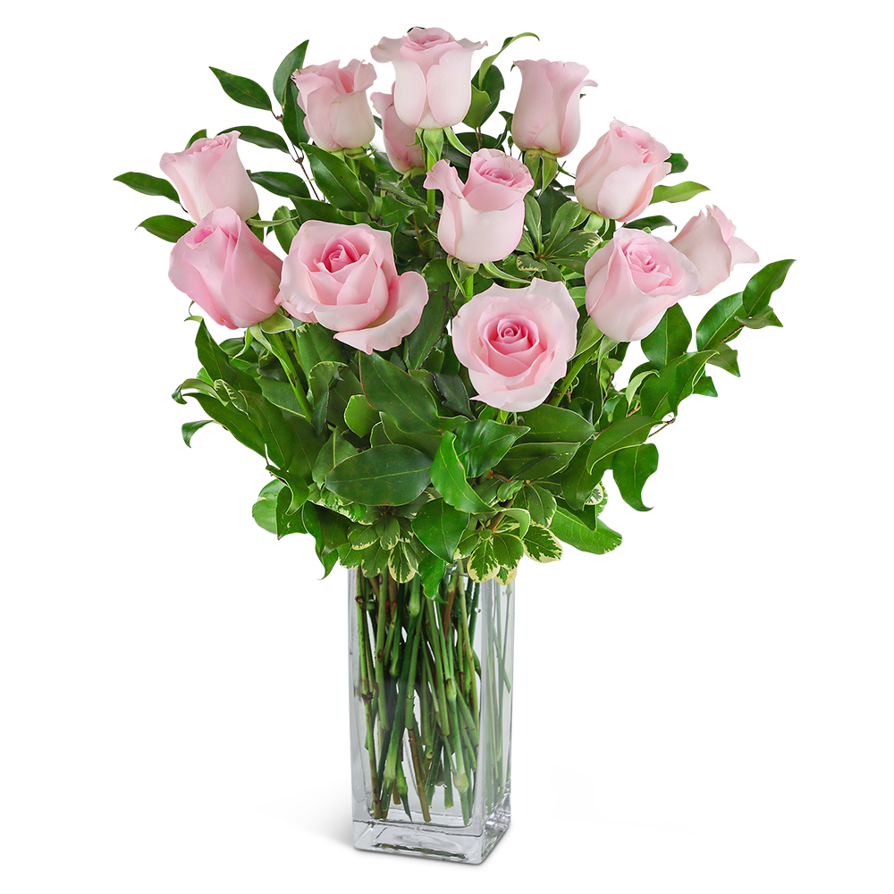 One Dozen Light Pink Roses