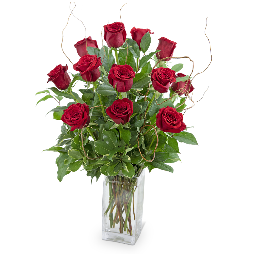 Dozen Red Roses with Willow