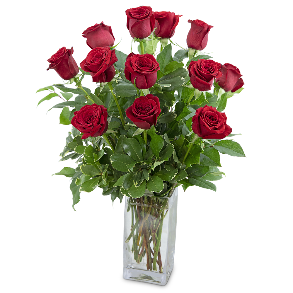 Classic Dozen Roses
