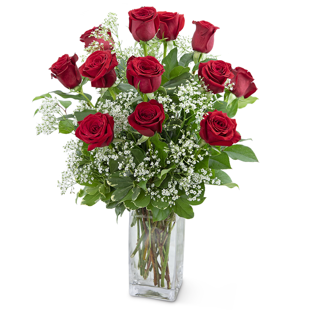 Dozen Roses in a Cloud