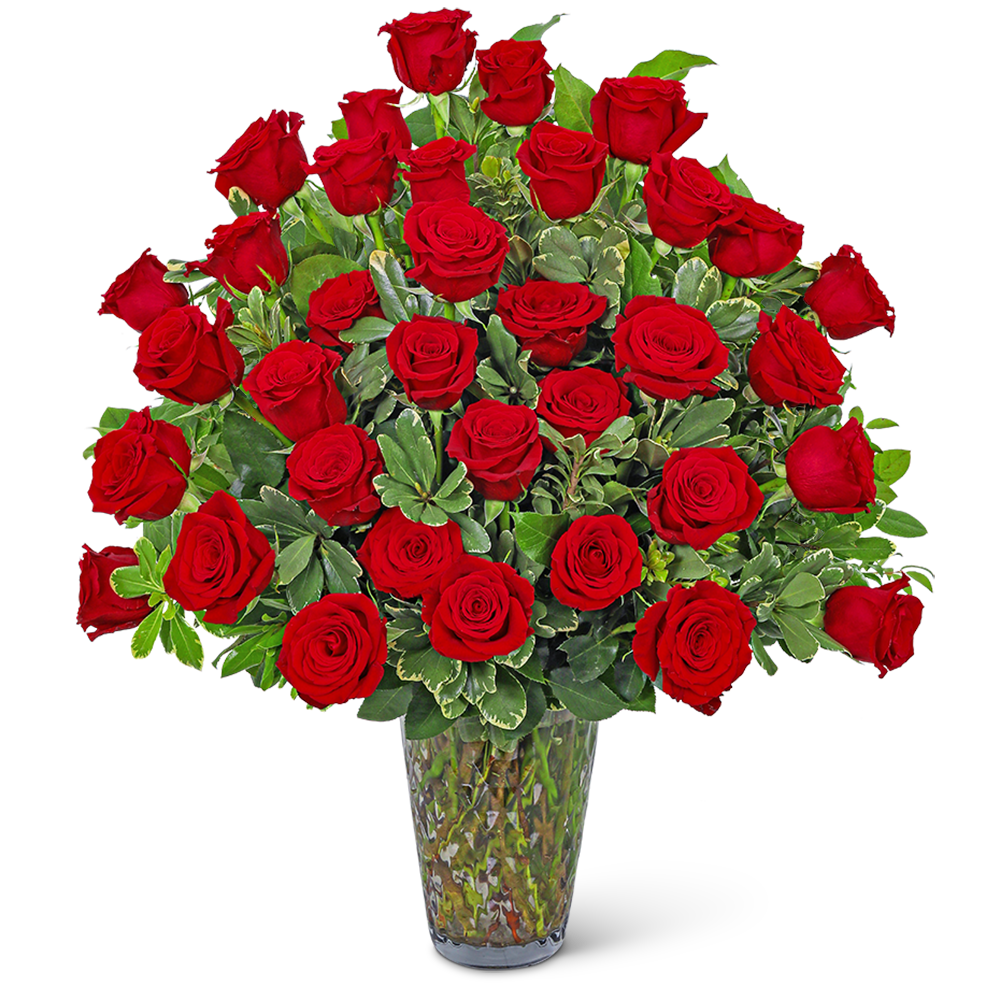Three Dozen Elegant Red Roses