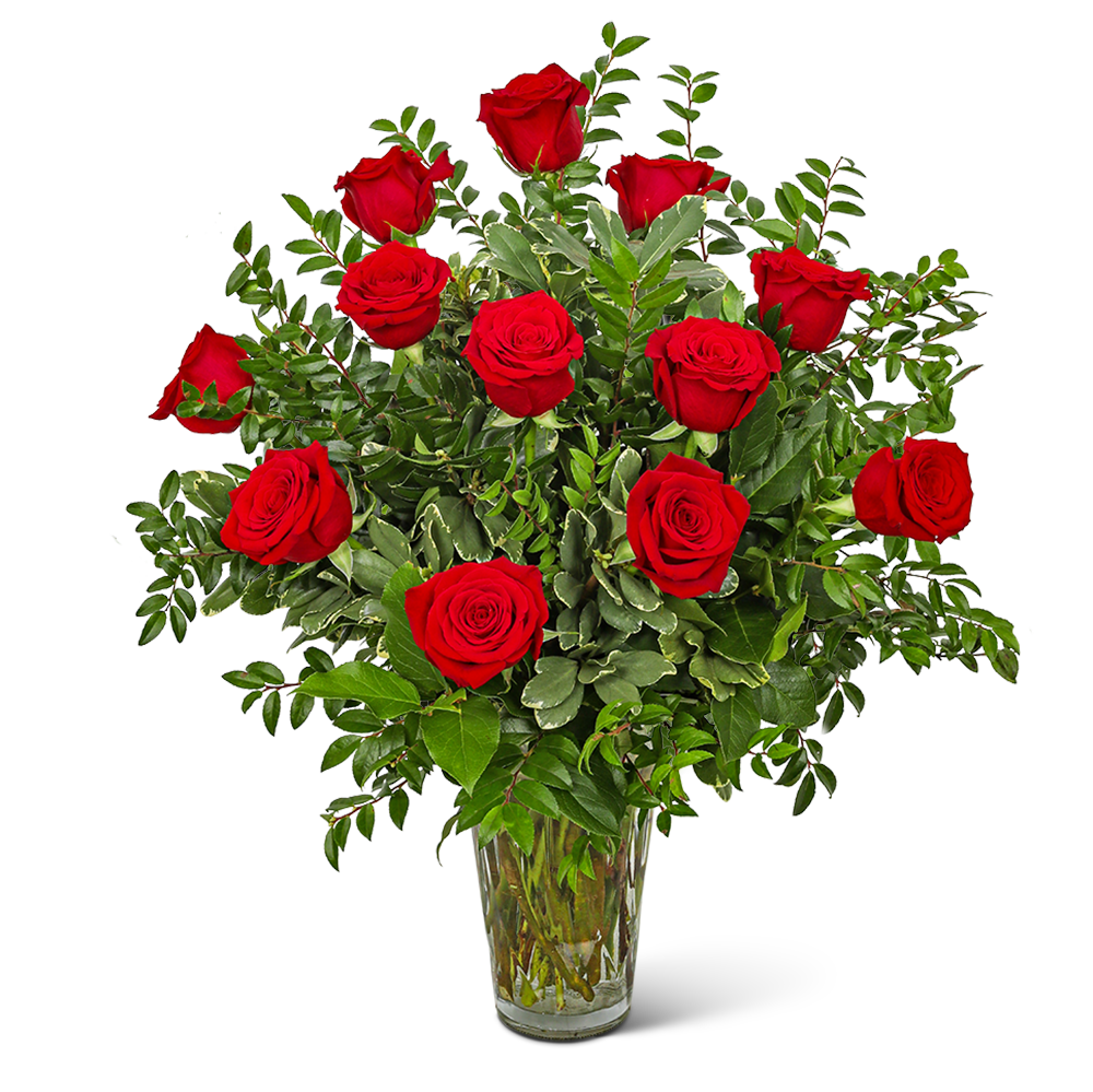 One Dozen Elegant Red Roses
