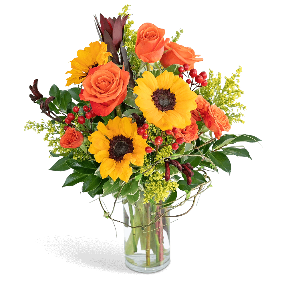 Postcard from Tuscany