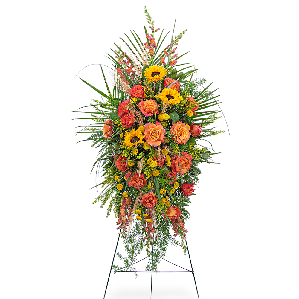 Sunset Reflections Standing Spray