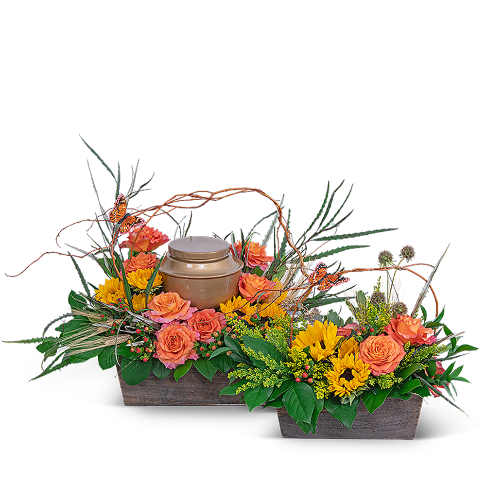 Sunset Reflections Tribute