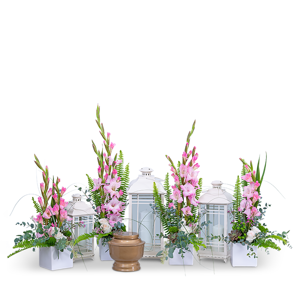 Light of Peace Tribute