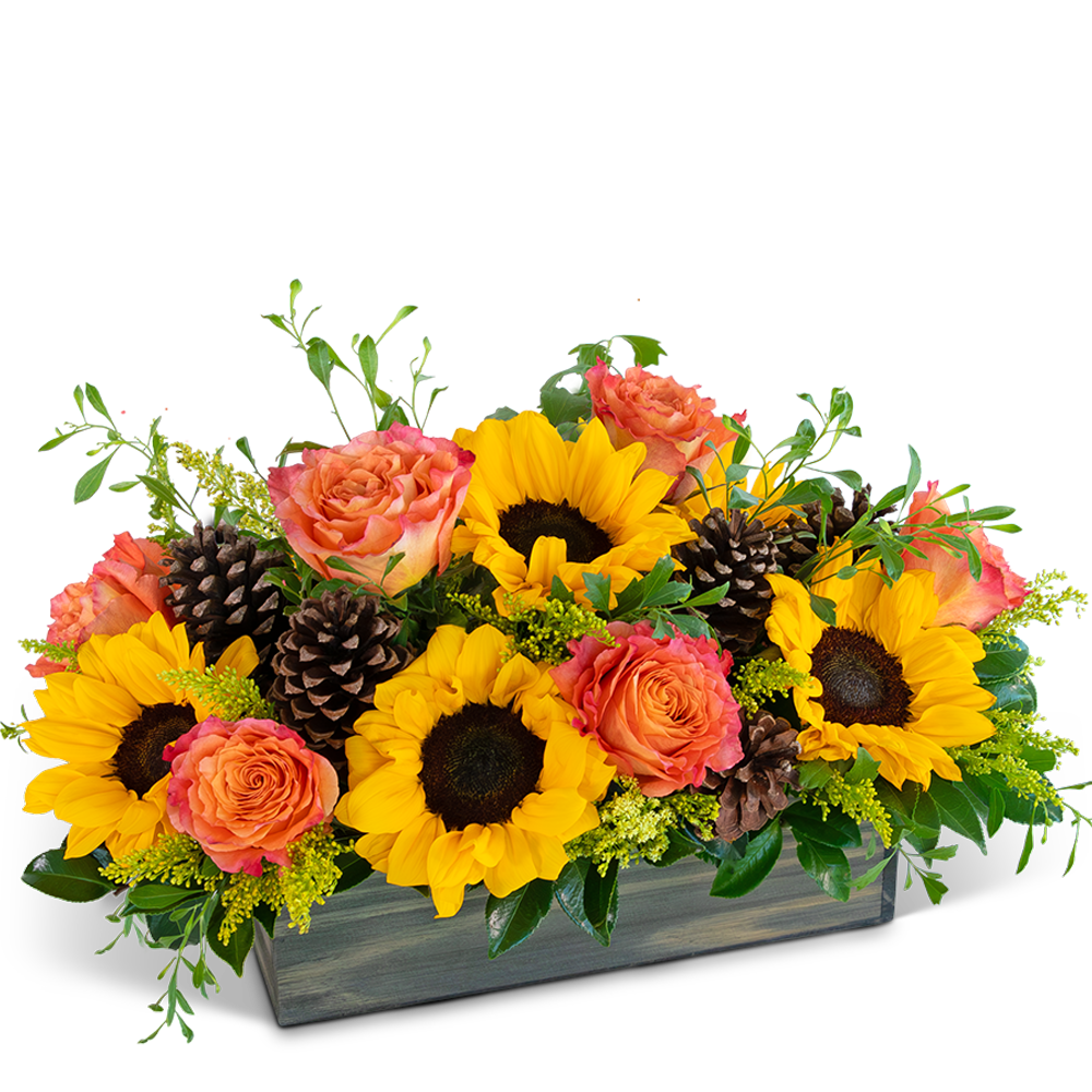 Abundant Autumn Fields