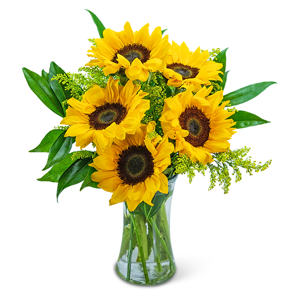 Sprinkle of Sunflowers