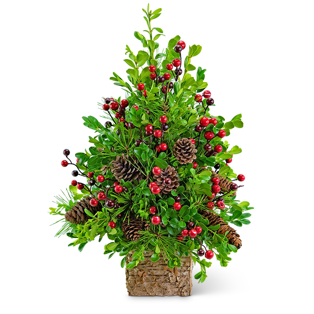 Adorned Boxwood Tree